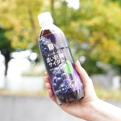 ソーダサイフォン12角 ミラー仕上 SSF-12M