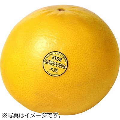 アメリカ産木熟メロゴールド 2個