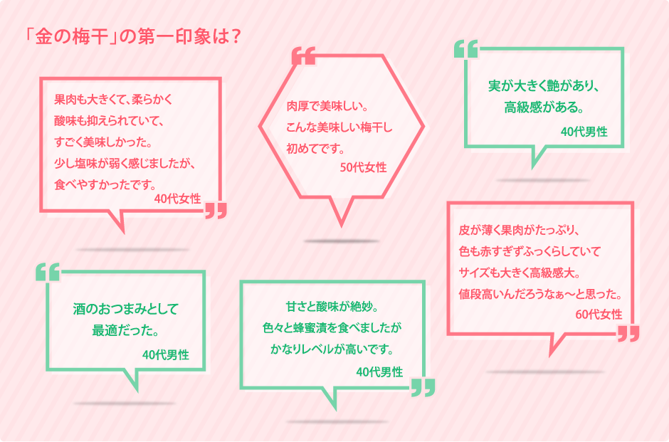 みんなで開発 梅干しプロジェクト モニター報告 セブンプレミアム公式 セブンプレミアム向上委員会