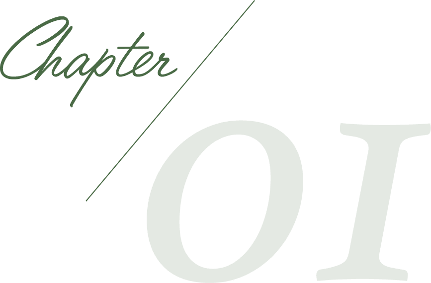 chapter01