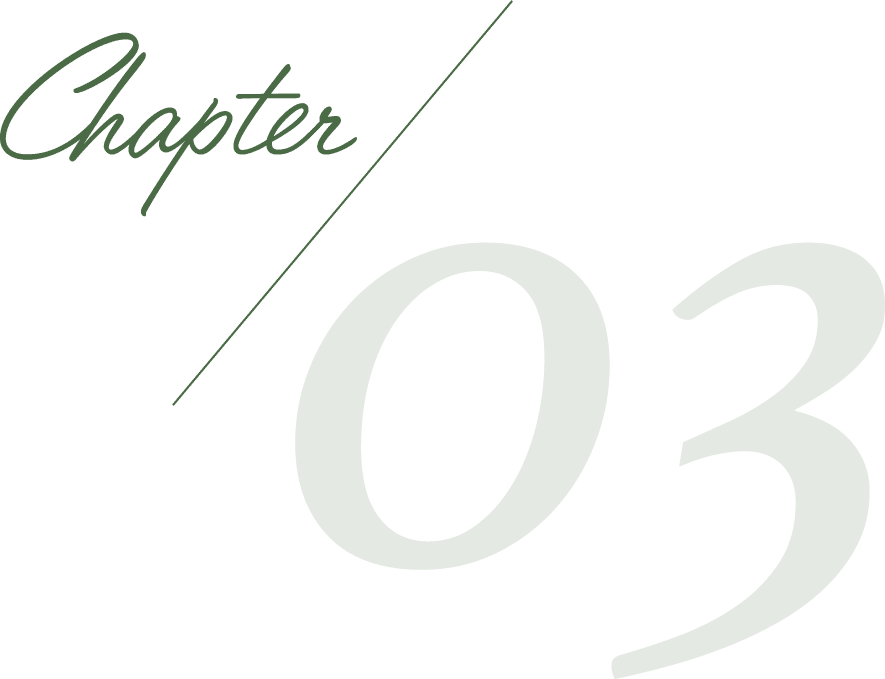 chapter03