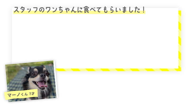 セブンプレミアムライフスタイル ペットフード 家族のためのやさしいおやつとごはん セブンプレミアム公式 セブンプレミアム向上委員会