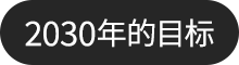 2030年的目标